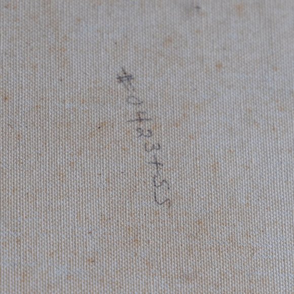 Signed Bert Seabourn Painting ā 20ā³Ć24ā³ Scarlet Macaws Wildlife - Picture 8 of 8